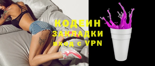 твердый Заводоуковск