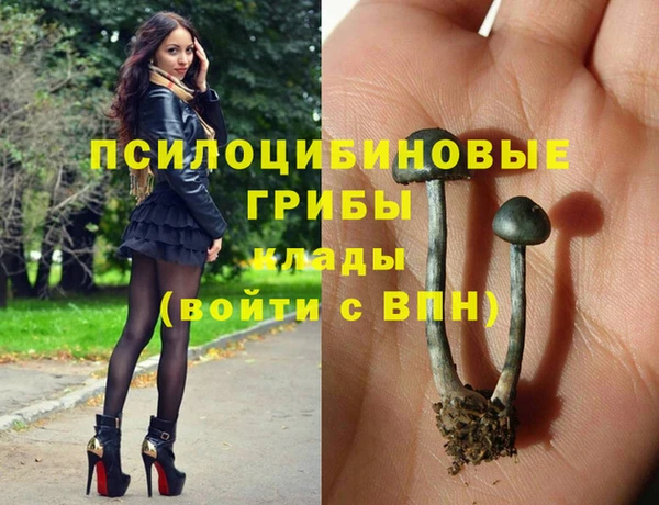 синтетический гашиш Алексеевка