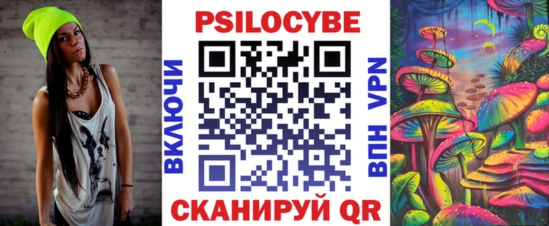 дарк нет какой сайт  Гаджиево  Псилоцибиновые грибы прущие грибы  где найти  